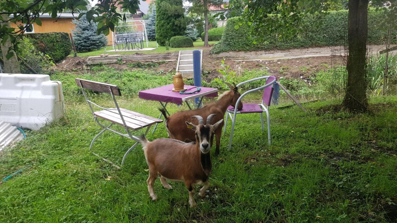 Zimmervermietung Zahn Baalberge Exterior foto
